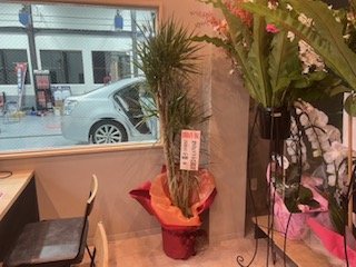記事画像4