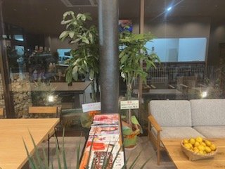 記事画像5